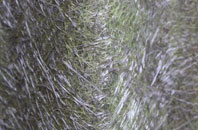 Camp fibreglass roof work